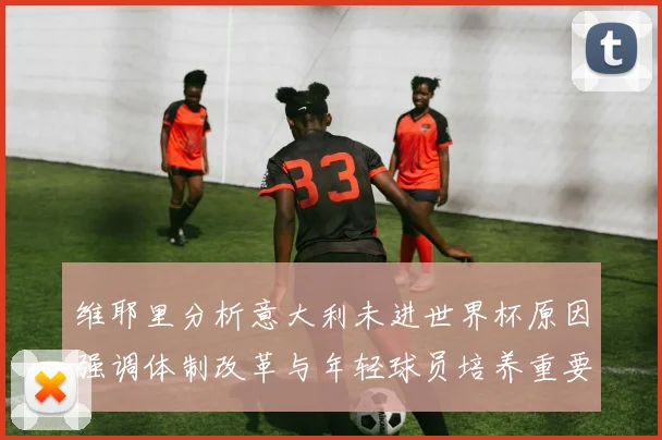 维耶里分析意大利未进世界杯原因强调体制改革与年轻球员培养重要性